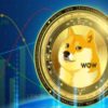 doge криптовалюта